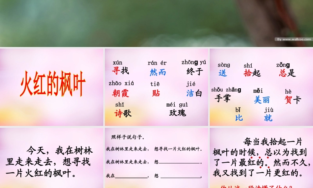 秋二年级语文上册《火红的枫叶》课件3 北师大版-北师大版小学二年级上册语文课件