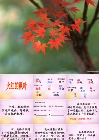 秋二年级语文上册《火红的枫叶》课件3 北师大版-北师大版小学二年级上册语文课件
