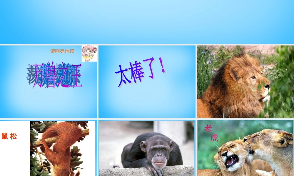 秋二年级语文上册《从现在开始……》课件2 沪教版-沪教版小学二年级上册语文课件