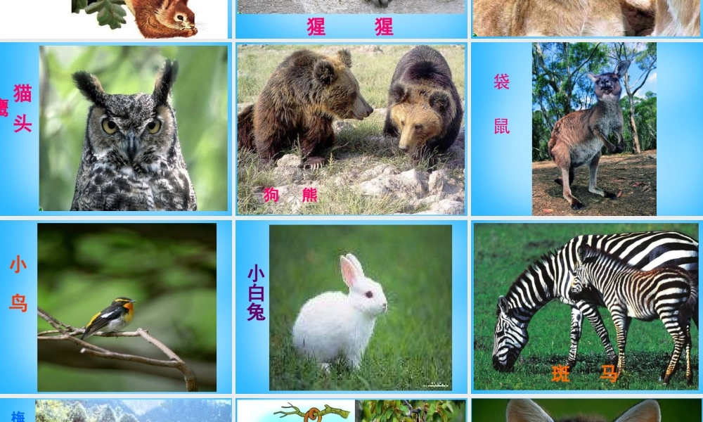 秋二年级语文上册《从现在开始……》课件2 沪教版-沪教版小学二年级上册语文课件