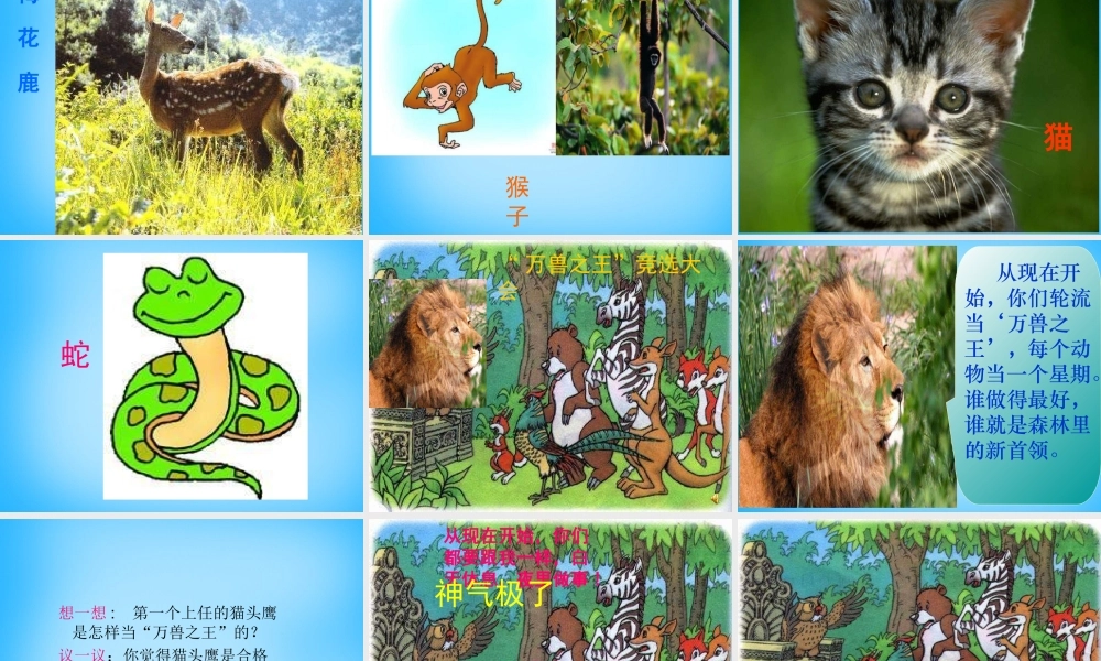 秋二年级语文上册《从现在开始……》课件2 沪教版-沪教版小学二年级上册语文课件