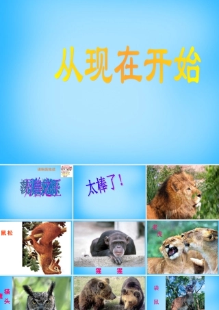 秋二年级语文上册《从现在开始……》课件2 沪教版-沪教版小学二年级上册语文课件