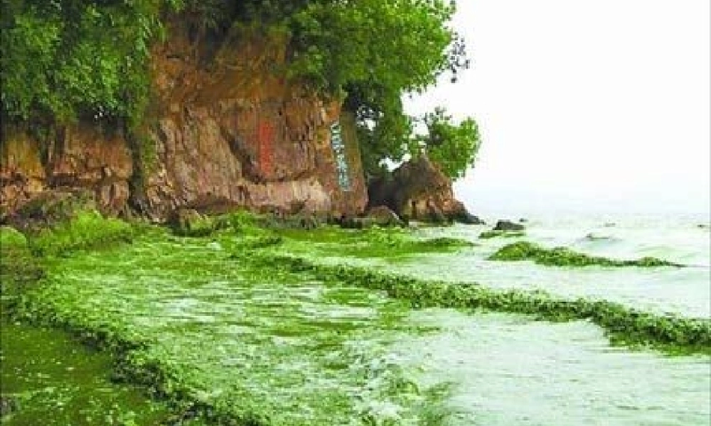 秋一年级语文上册《小溪生病了》课件2 沪教版-沪教版小学一年级上册语文课件