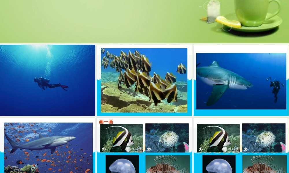 秋三年级语文上册《奇妙的海底世界》课件1 北师大版-北师大版小学三年级上册语文课件