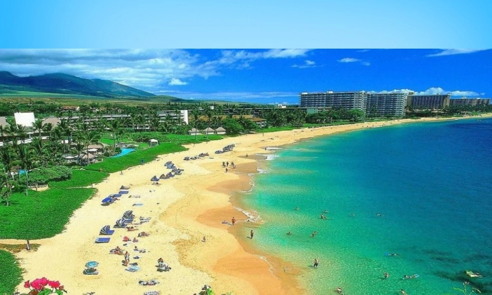 秋二年级语文上册《大海那边》课件3 沪教版-沪教版小学二年级上册语文课件