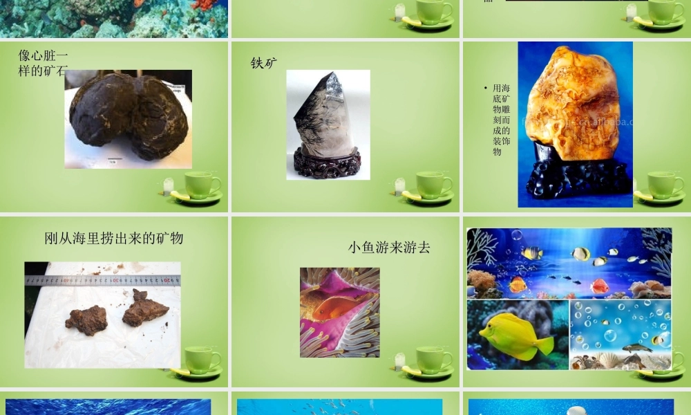 秋三年级语文上册《奇妙的海底世界》课件2 北师大版-北师大版小学三年级上册语文课件