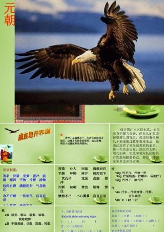 秋五年级语文上册《成吉思汗和鹰》课件4 北师大版-北师大版小学五年级上册语文课件