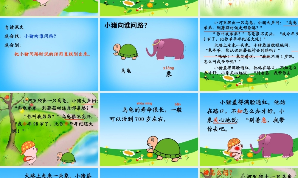 秋一年级语文上册《小猪问路》课件2 沪教版-沪教版小学一年级上册语文课件