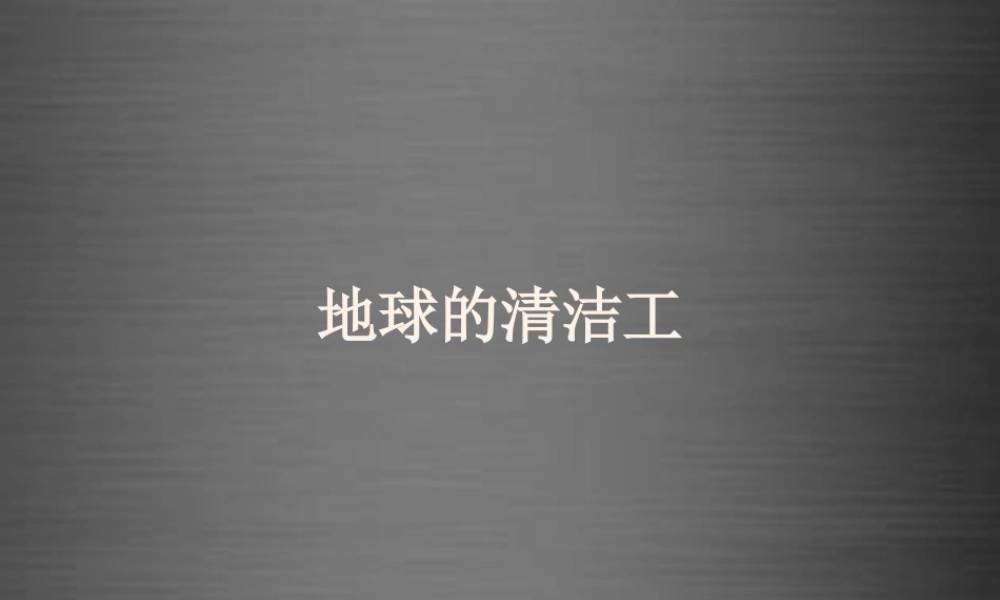 秋二年级语文上册《地球的清洁工》课件3 冀教版-冀教版小学二年级上册语文课件