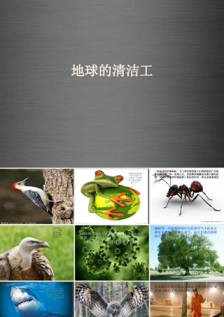 秋二年级语文上册《地球的清洁工》课件3 冀教版-冀教版小学二年级上册语文课件