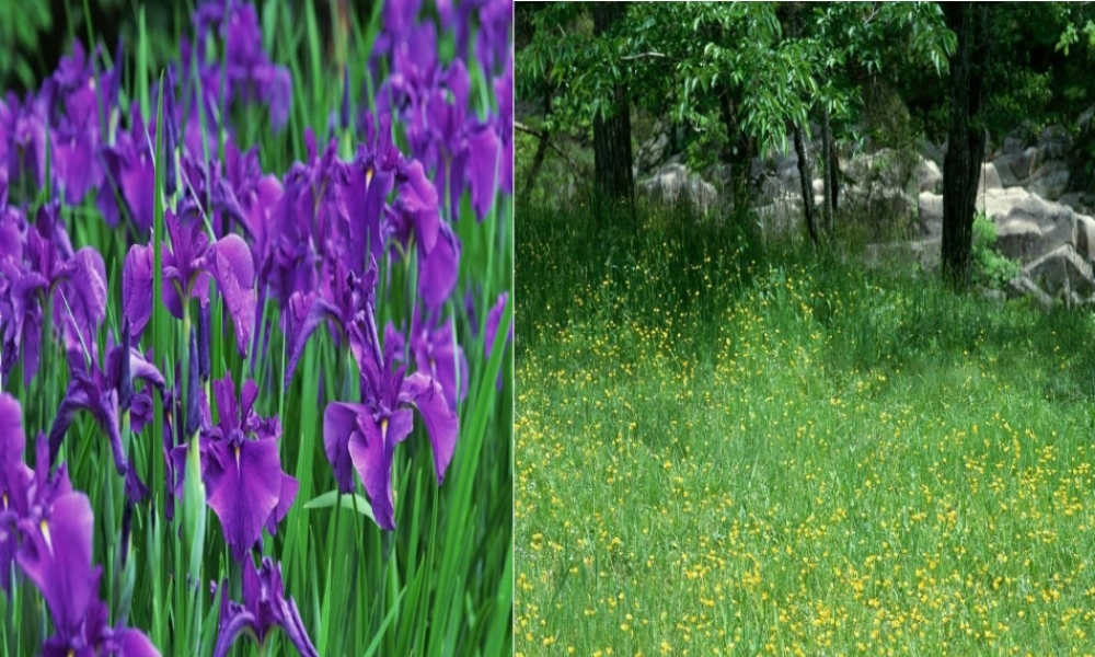 秋一年级语文上册《心里的世界》课件1 冀教版-冀教版小学一年级上册语文课件