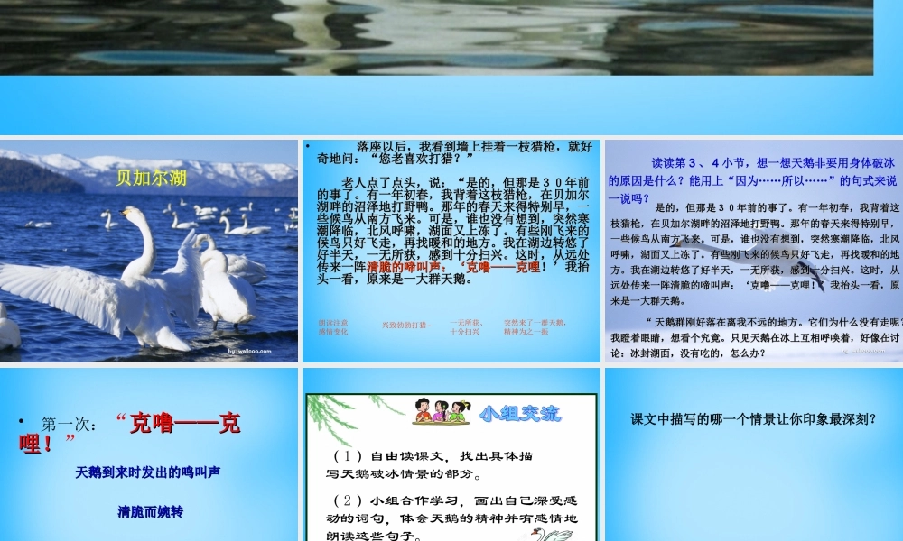 秋三年级语文上册《天鹅的故事》课件1 沪教版-沪教版小学三年级上册语文课件
