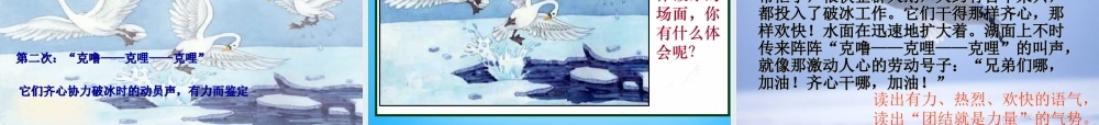 秋三年级语文上册《天鹅的故事》课件1 沪教版-沪教版小学三年级上册语文课件