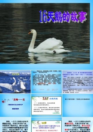 秋三年级语文上册《天鹅的故事》课件1 沪教版-沪教版小学三年级上册语文课件