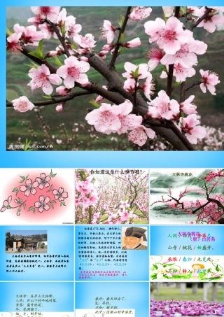 秋二年级语文上册《古诗诵读 大林寺桃花》课件1 沪教版-沪教版小学二年级上册语文课件