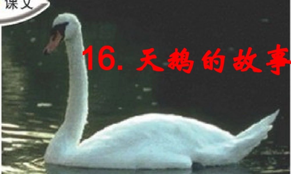 秋三年级语文上册《天鹅的故事》课件3 沪教版-沪教版小学三年级上册语文课件