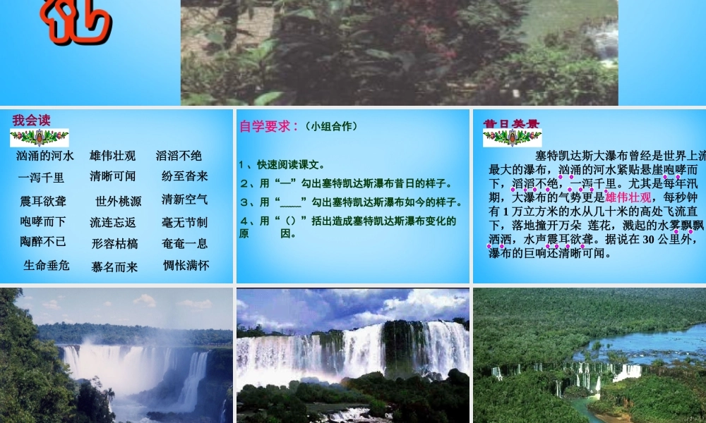 秋五年级语文上册《大瀑布的葬礼》课件2 沪教版-沪教版小学五年级上册语文课件