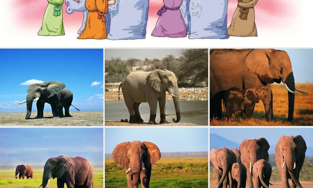 秋二年级语文上册《盲人摸象》课件4 冀教版-冀教版小学二年级上册语文课件