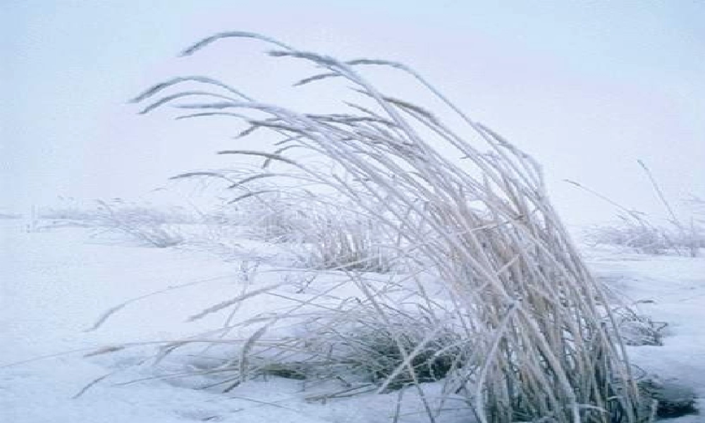 秋一年级语文上册《雪地里的小画家》课件1 北师大版-北师大版小学一年级上册语文课件