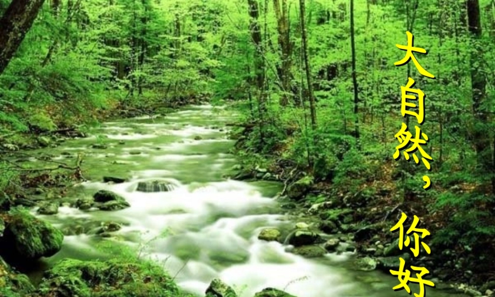 秋五年级语文上册《大自然，你好》课件2 冀教版-冀教版小学五年级上册语文课件