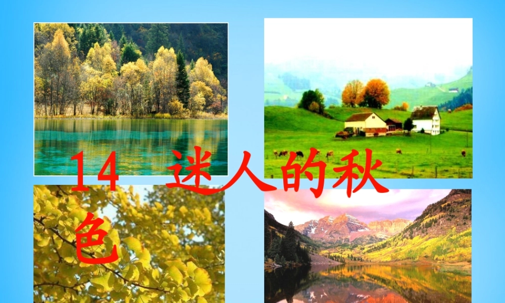 秋二年级语文上册《迷人的秋色》课件1 沪教版-沪教版小学二年级上册语文课件