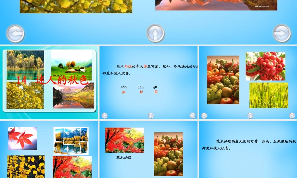 秋二年级语文上册《迷人的秋色》课件1 沪教版-沪教版小学二年级上册语文课件