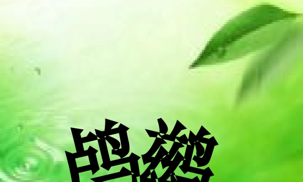 秋五年级语文上册《动物二章》课件2 冀教版-冀教版小学五年级上册语文课件