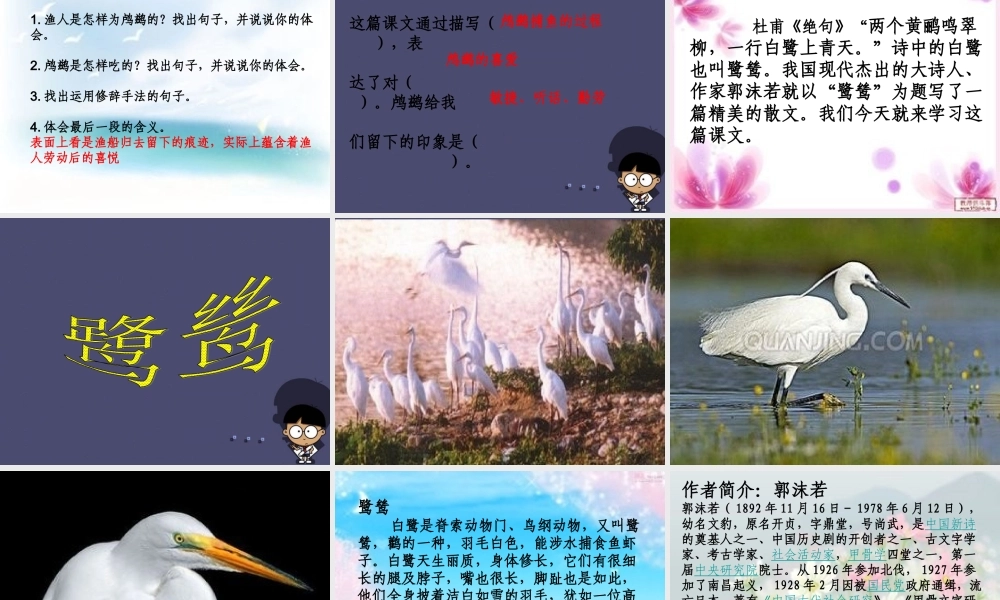 秋五年级语文上册《动物二章》课件2 冀教版-冀教版小学五年级上册语文课件