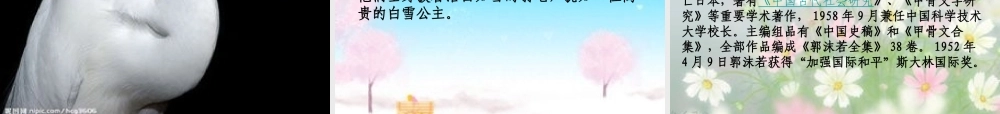 秋五年级语文上册《动物二章》课件2 冀教版-冀教版小学五年级上册语文课件