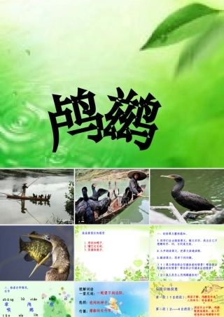 秋五年级语文上册《动物二章》课件2 冀教版-冀教版小学五年级上册语文课件