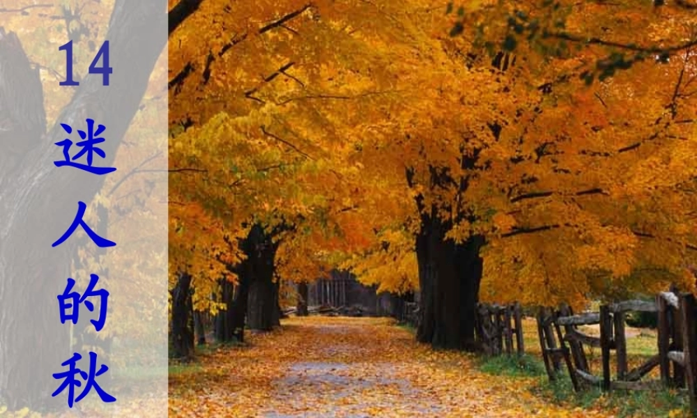 秋二年级语文上册《迷人的秋色》课件2 沪教版-沪教版小学二年级上册语文课件