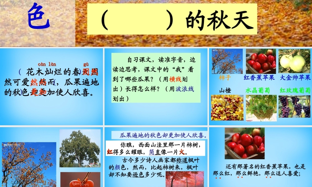 秋二年级语文上册《迷人的秋色》课件2 沪教版-沪教版小学二年级上册语文课件