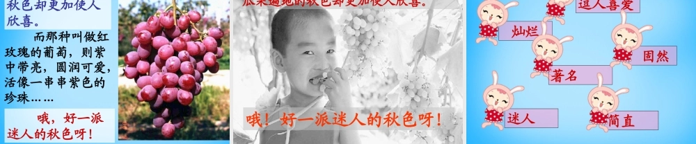 秋二年级语文上册《迷人的秋色》课件2 沪教版-沪教版小学二年级上册语文课件