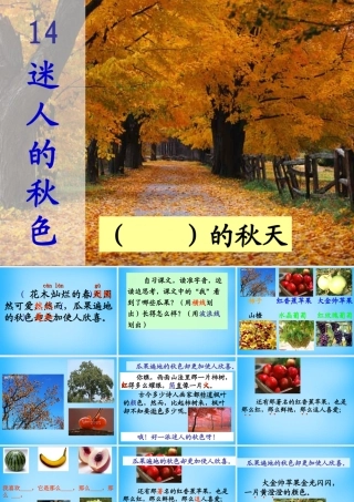 秋二年级语文上册《迷人的秋色》课件2 沪教版-沪教版小学二年级上册语文课件