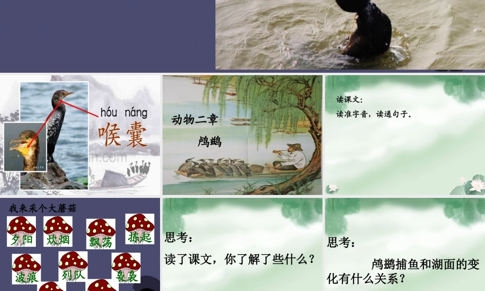 秋五年级语文上册《动物二章》课件3 冀教版-冀教版小学五年级上册语文课件