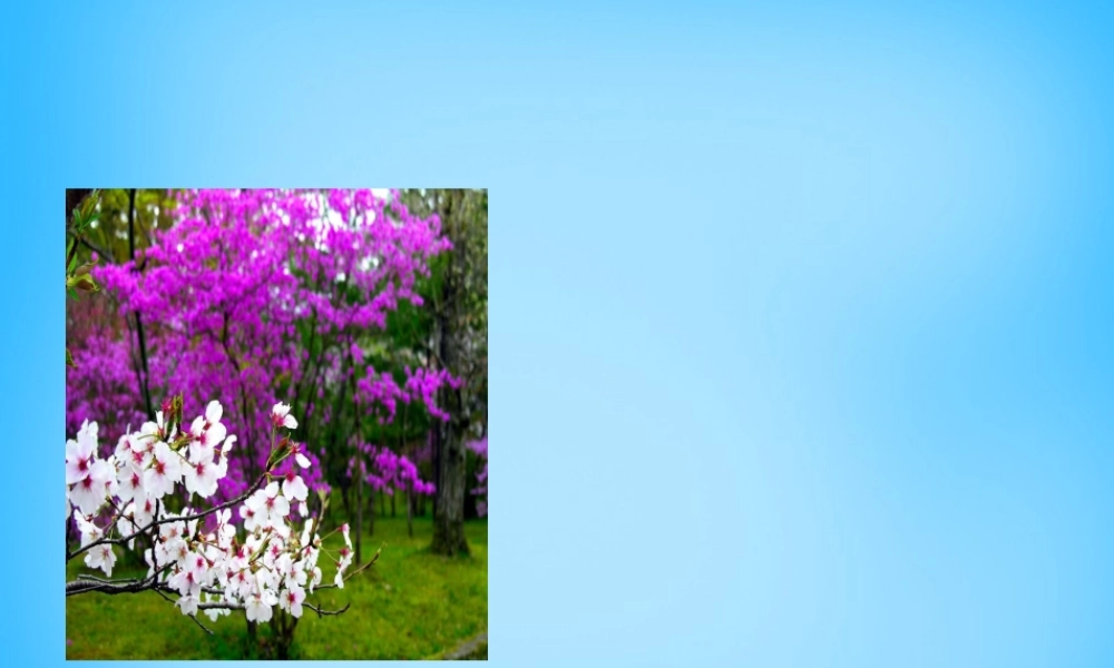 秋二年级语文上册《迷人的秋色》课件3 沪教版-沪教版小学二年级上册语文课件