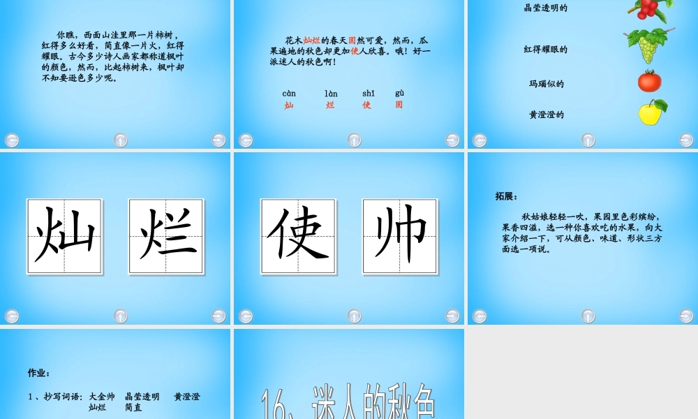 秋二年级语文上册《迷人的秋色》课件5 沪教版-沪教版小学二年级上册语文课件