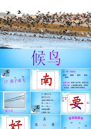 秋一年级语文上册《燕子南飞》课件1 沪教版-沪教版小学一年级上册语文课件