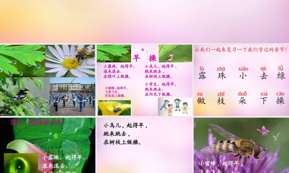 秋一年级语文上册《早操》课件1 北师大版-北师大版小学一年级上册语文课件