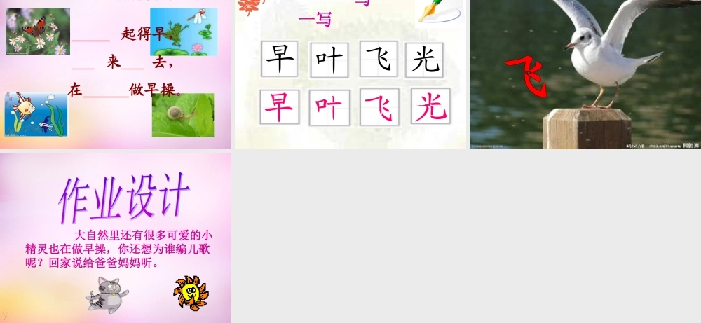 秋一年级语文上册《早操》课件2 北师大版-北师大版小学一年级上册语文课件