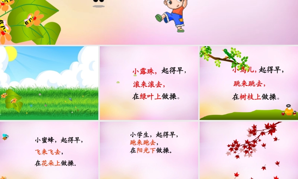 秋一年级语文上册《早操》课件4 北师大版-北师大版小学一年级上册语文课件