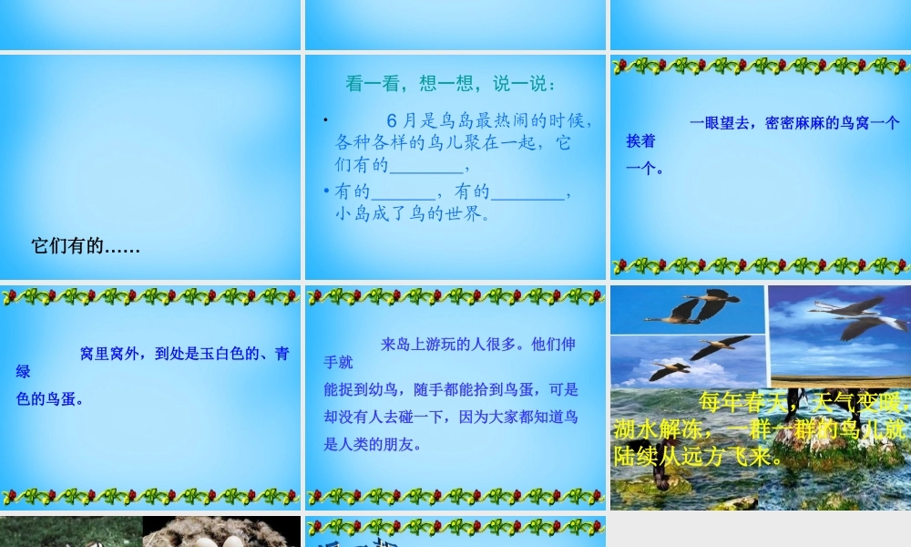 秋二年级语文上册《鸟岛》课件1 沪教版-沪教版小学二年级上册语文课件