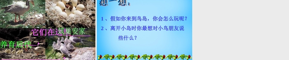 秋二年级语文上册《鸟岛》课件1 沪教版-沪教版小学二年级上册语文课件