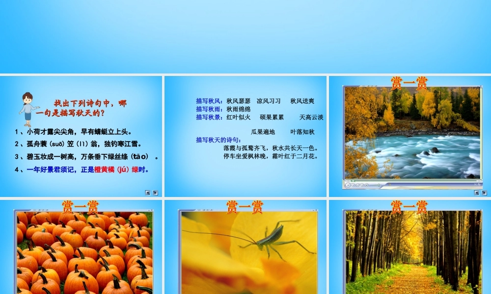 秋三年级语文上册《我眼中的秋天》课件1 沪教版-沪教版小学三年级上册语文课件