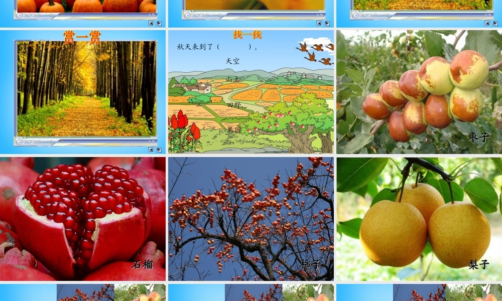 秋三年级语文上册《我眼中的秋天》课件1 沪教版-沪教版小学三年级上册语文课件