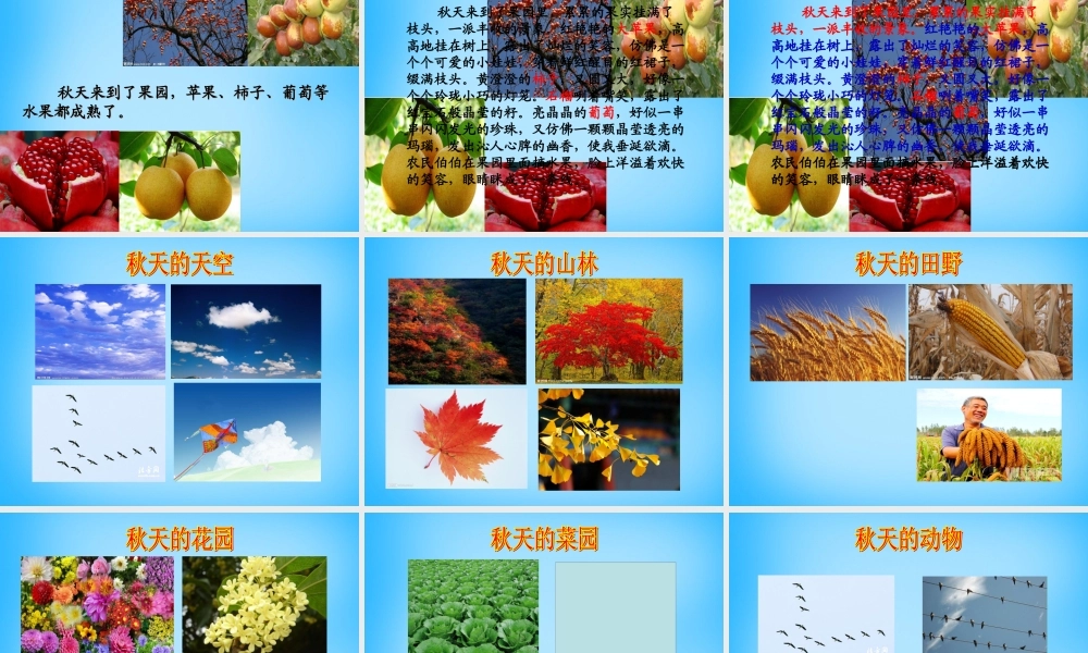 秋三年级语文上册《我眼中的秋天》课件1 沪教版-沪教版小学三年级上册语文课件