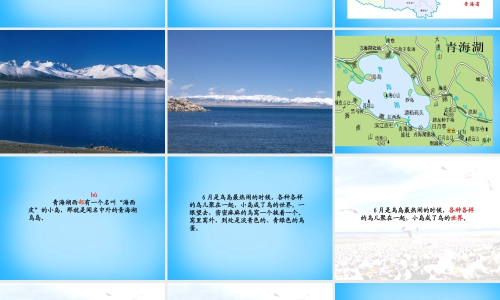 秋二年级语文上册《鸟岛》课件2 沪教版-沪教版小学二年级上册语文课件