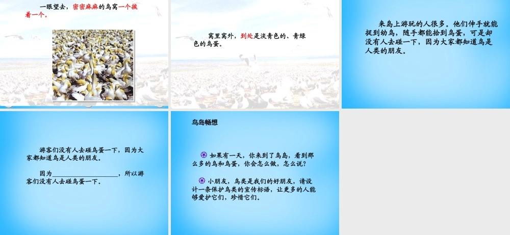 秋二年级语文上册《鸟岛》课件2 沪教版-沪教版小学二年级上册语文课件