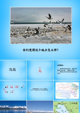 秋二年级语文上册《鸟岛》课件2 沪教版-沪教版小学二年级上册语文课件