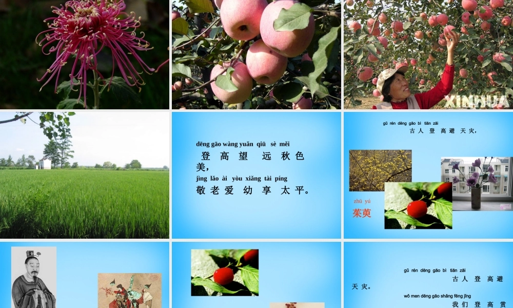 秋一年级语文上册《重阳节》课件 沪教版-沪教版小学一年级上册语文课件